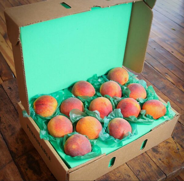 Dickey Farms famous FARM FRESHGEORGIA PEACHES - Image 2