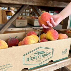 Dickey Farms famous FARM FRESHGEORGIA PEACHES