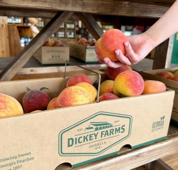 Dickey Farms famous FARM FRESHGEORGIA PEACHES